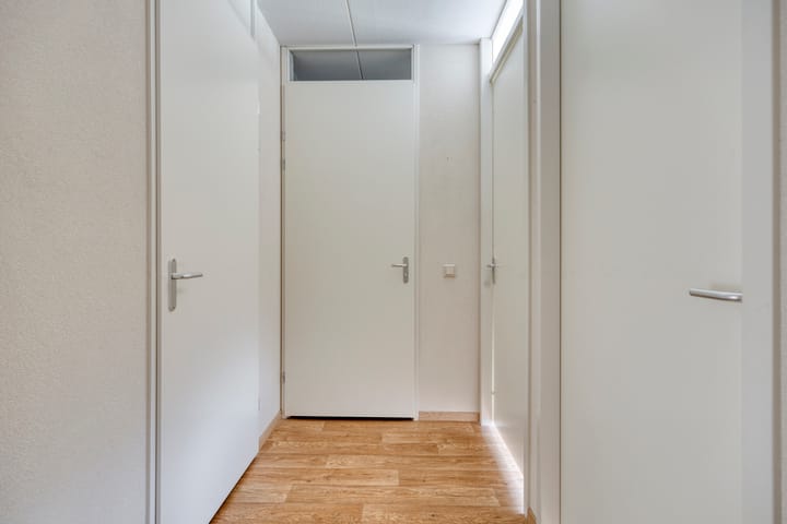 Foto 12 van Zomertaling 11