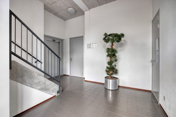 Foto 22 van Zomertaling 11