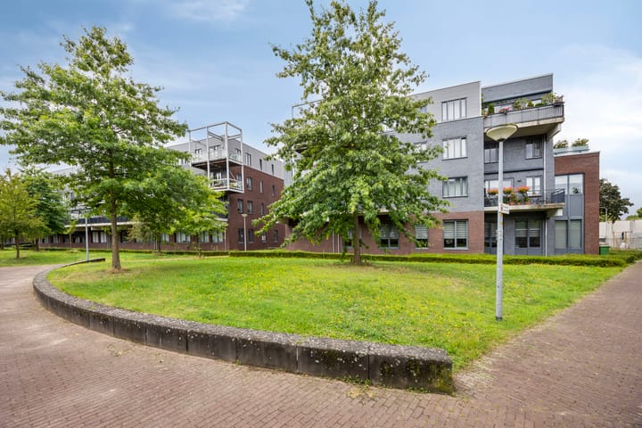 Foto 27 van Zomertaling 11