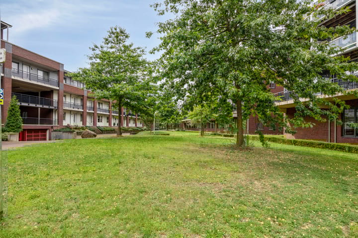 Foto 28 van Zomertaling 11