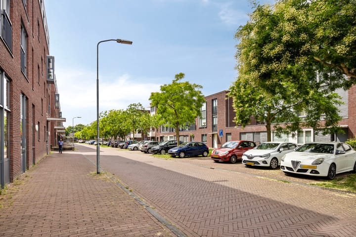 Foto 29 van Zomertaling 11