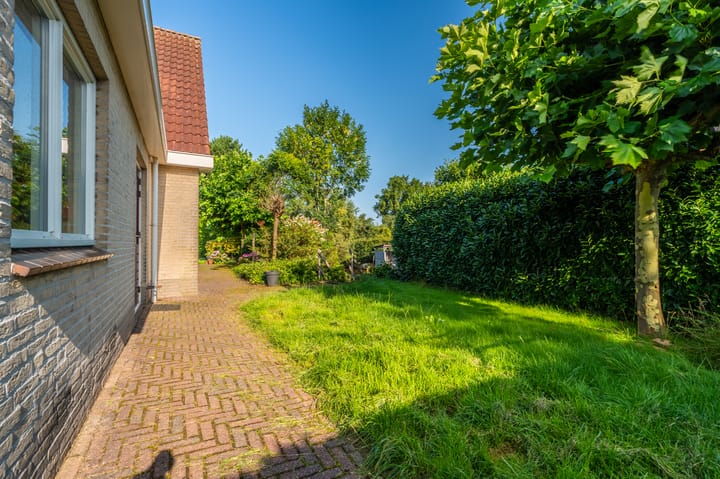 Photo 37 of Snikke 9