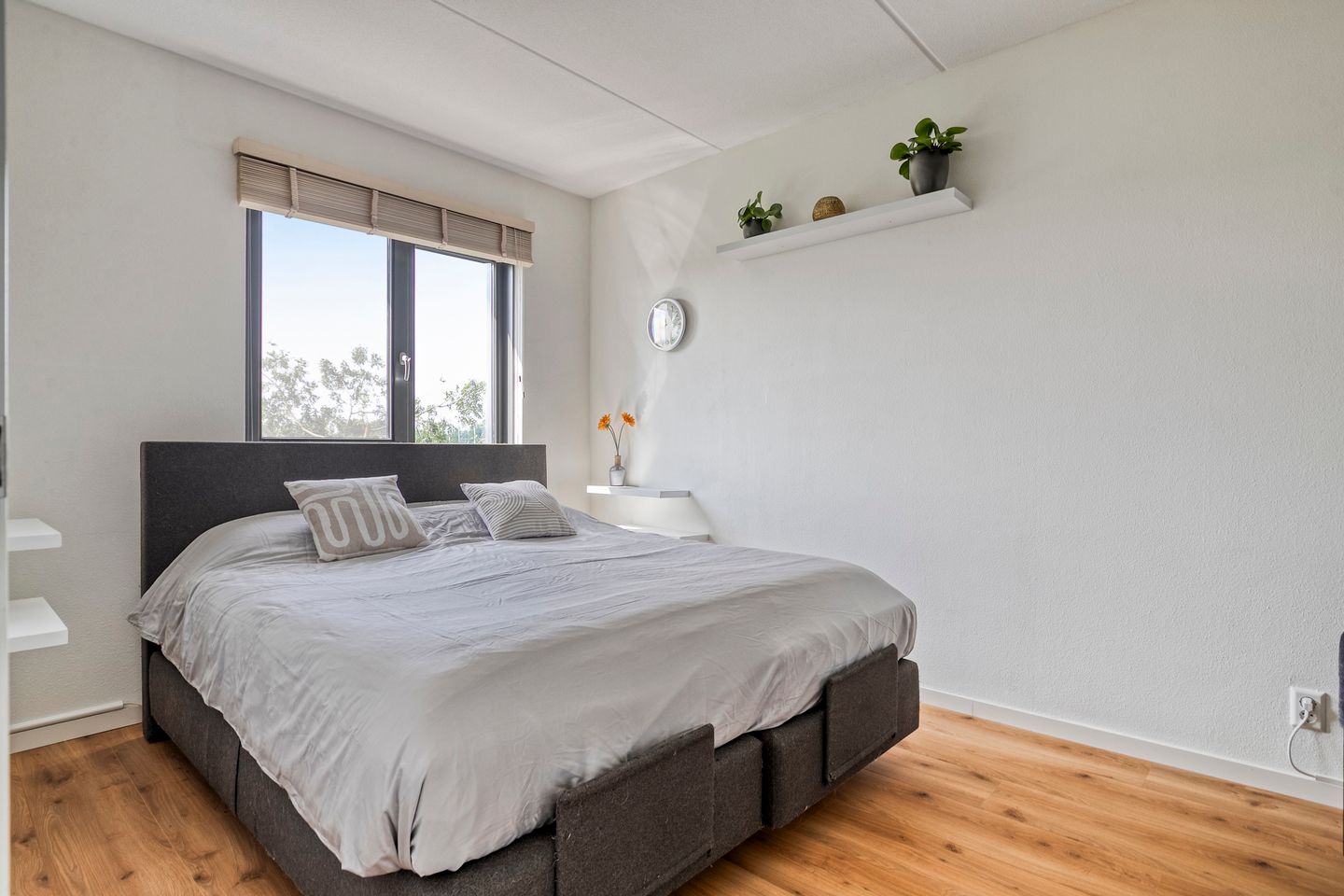 Foto 14 van Petrus Planciusstraat 25