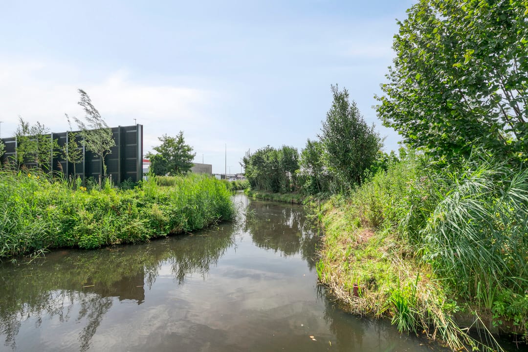 Foto 23 van Petrus Planciusstraat 25