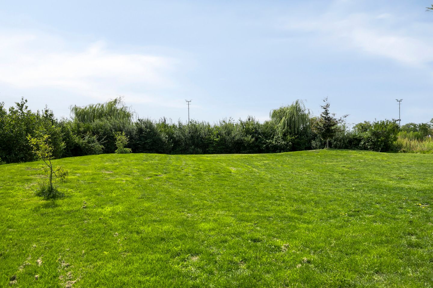 Foto 25 van Petrus Planciusstraat 25