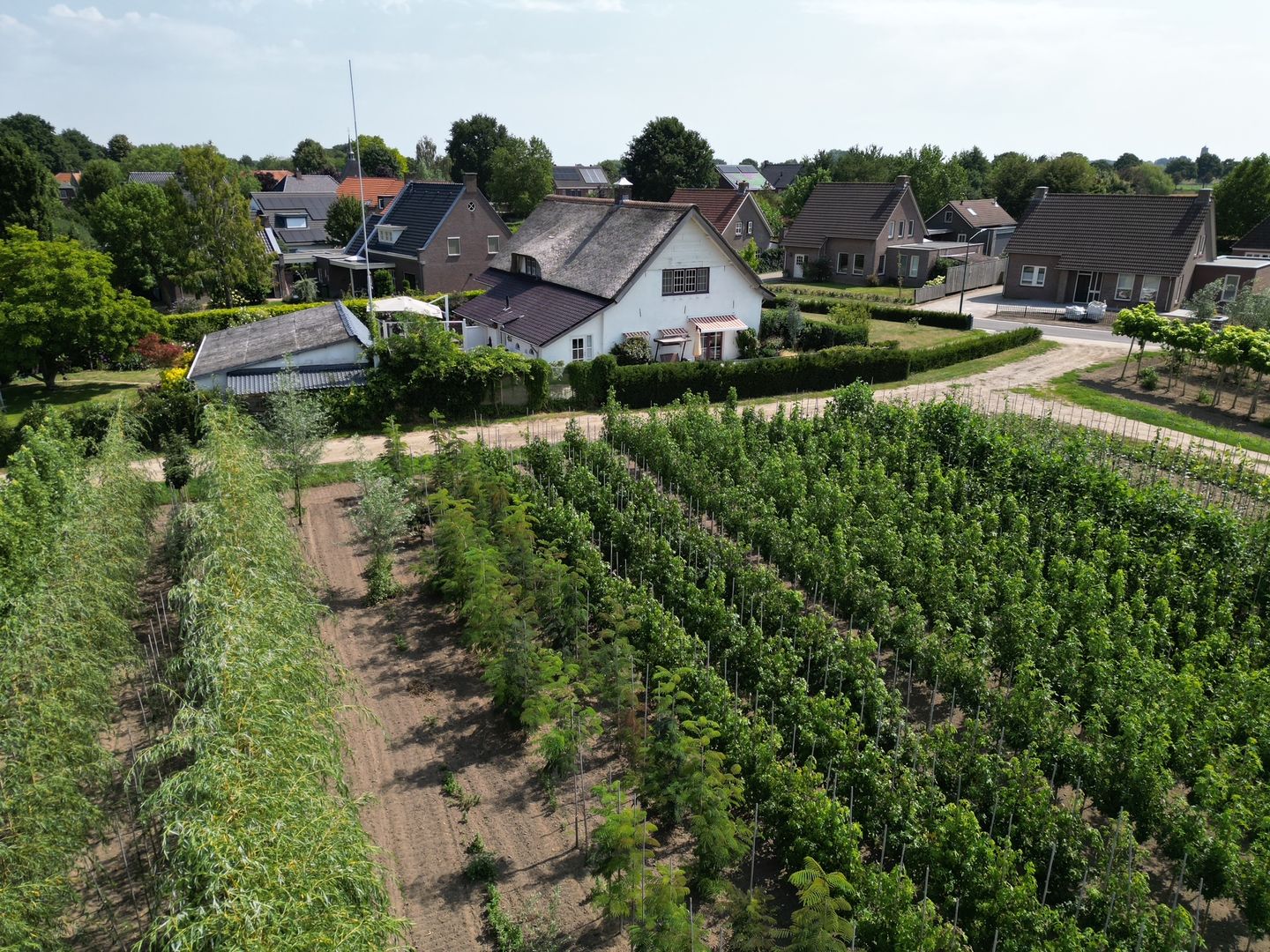 Photo 35 of Voortweg 4