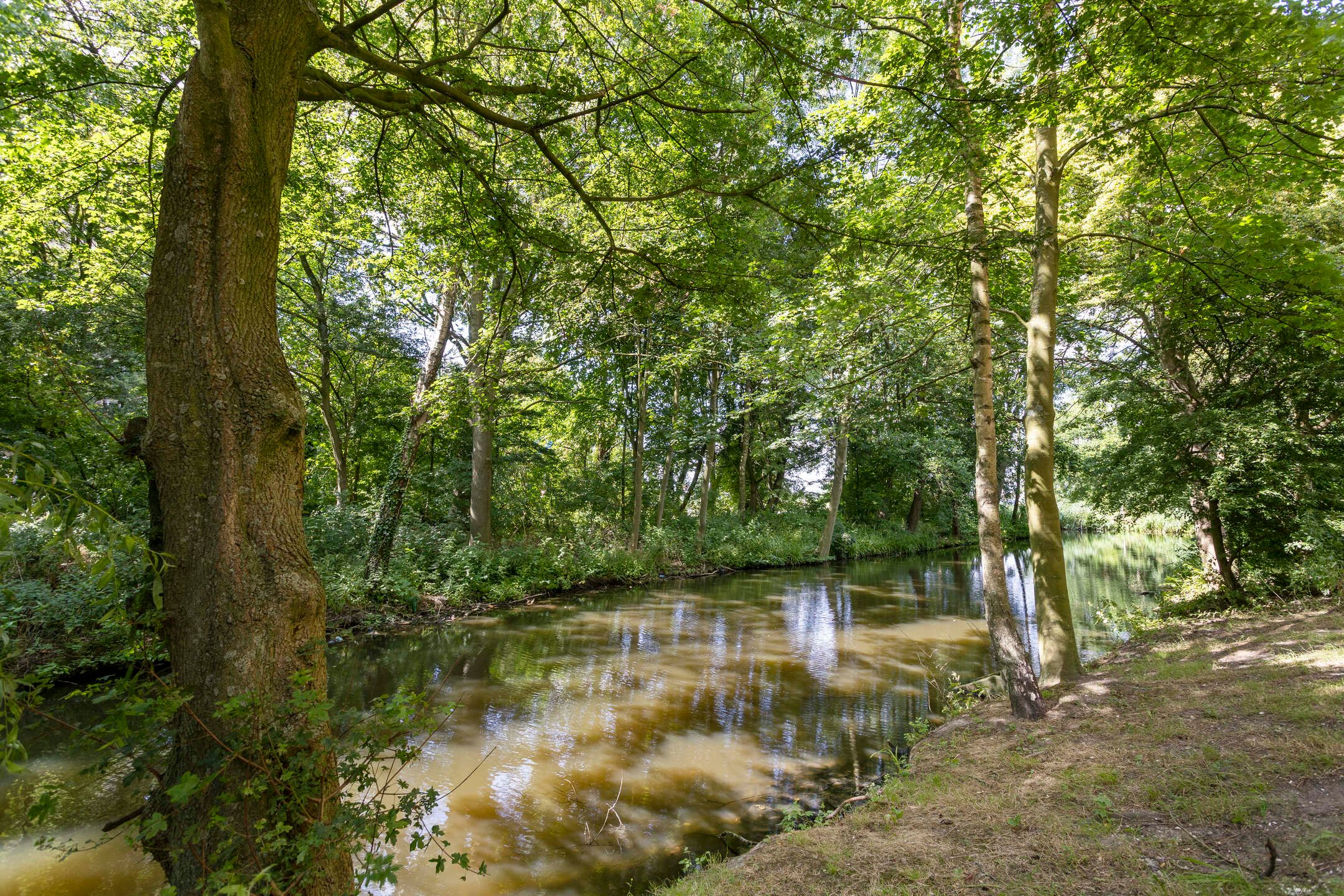 Photo 36 of Oostervenne 357