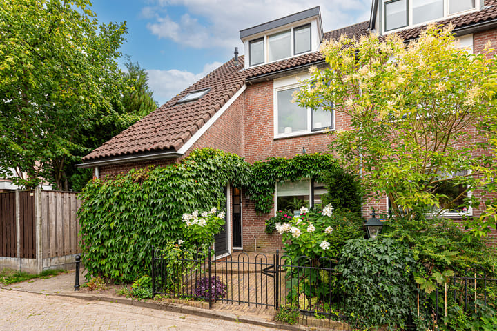 Foto 1 van van Neslaan 53