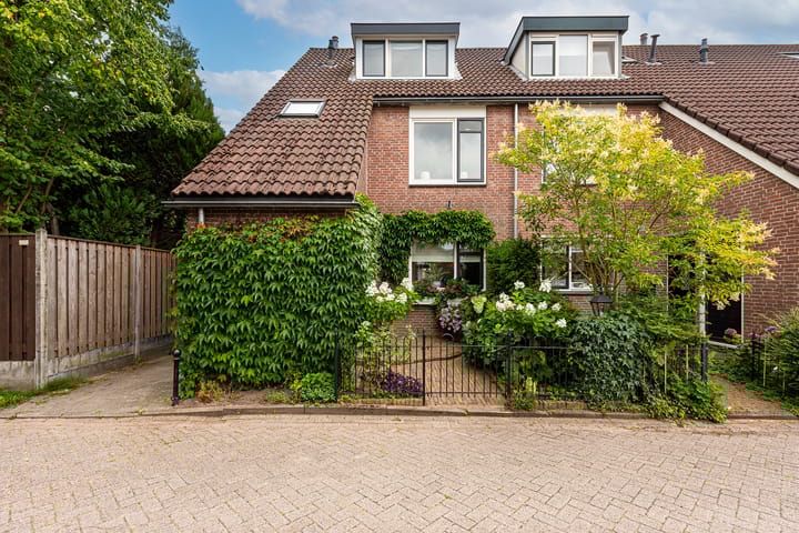 Foto 37 van van Neslaan 53