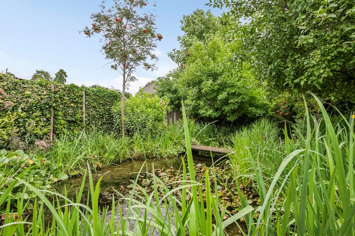 Foto 64 van Achterdorp 39