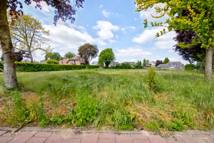 Foto 5 van Generaal Maczeklaan - Alphenseweg K2