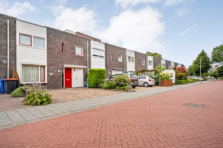 Foto 35 van Wanningstraat 223