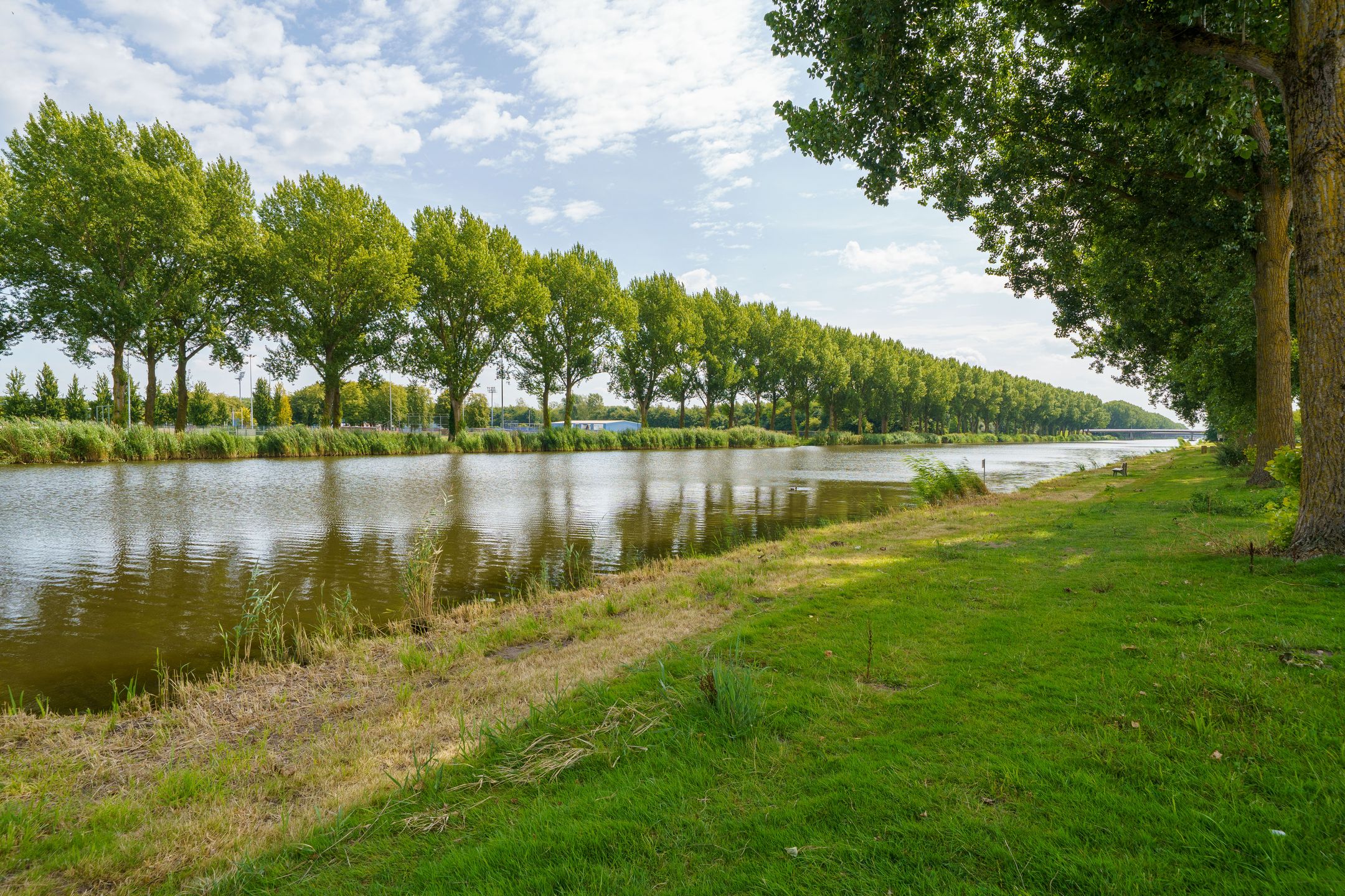 Foto 33 van Mosselstraat 43