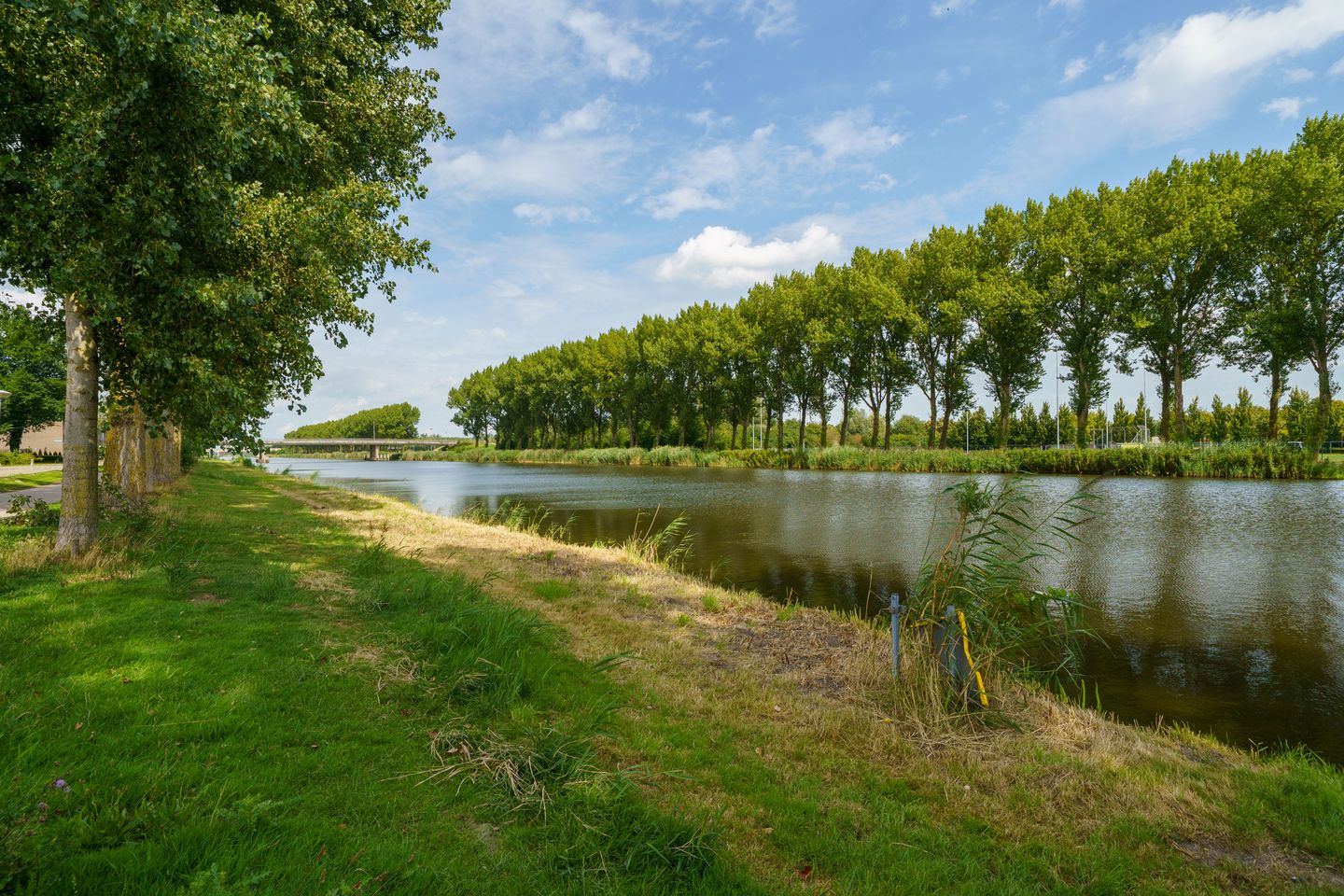 Foto 34 van Mosselstraat 43