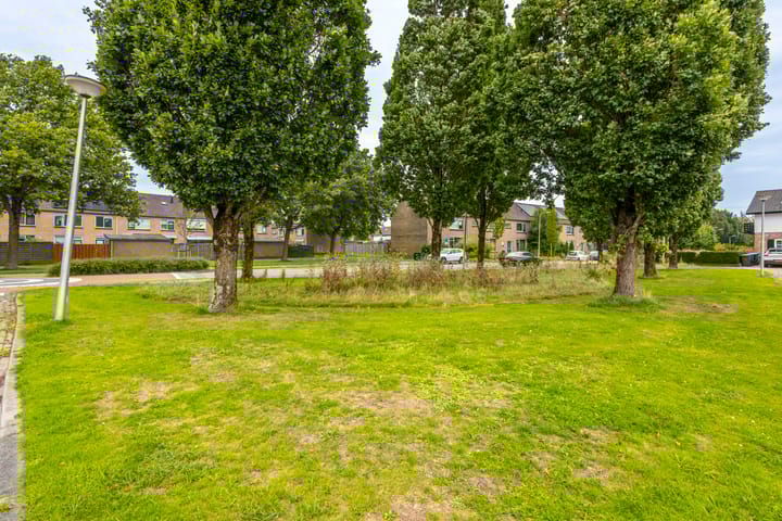 Photo 36 of Irenestraat 142