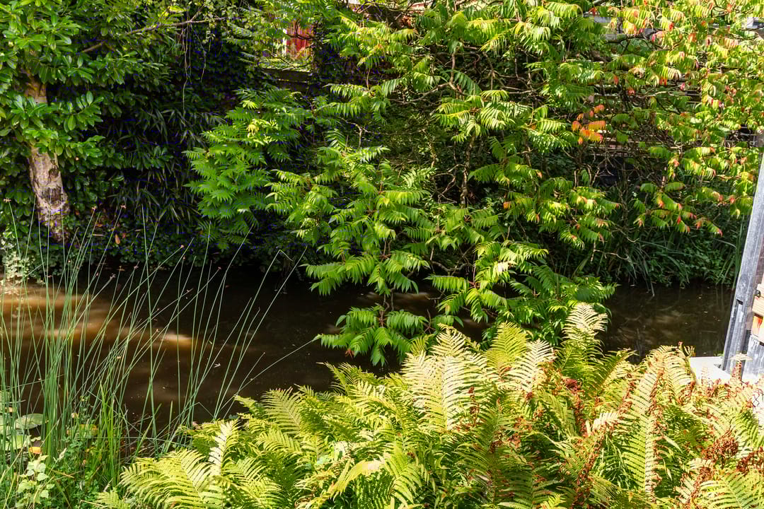 Foto 31 van De Boei 17