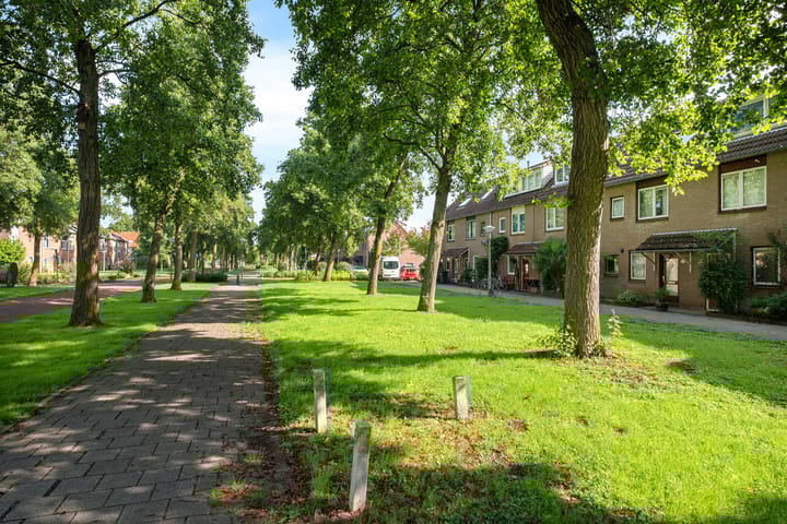 Foto 2 van Maria Snelplantsoen 58