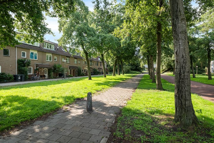 Foto 3 van Maria Snelplantsoen 58