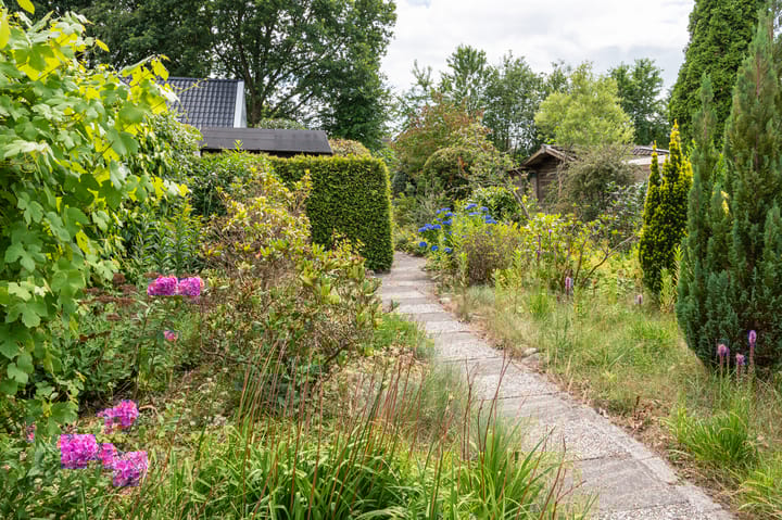 Photo 19 of De Rolle 34