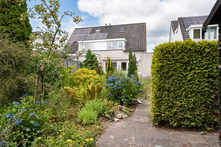 Photo 20 of De Rolle 34