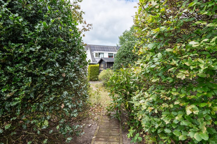 Photo 21 of De Rolle 34