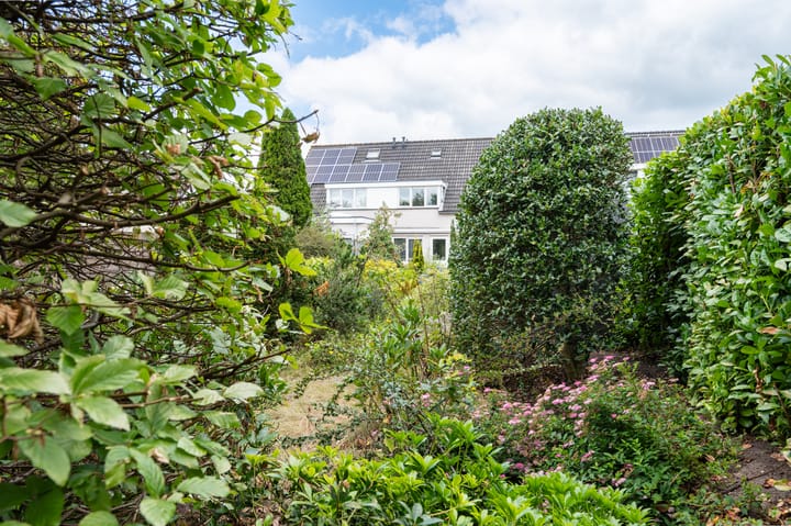 Photo 22 of De Rolle 34