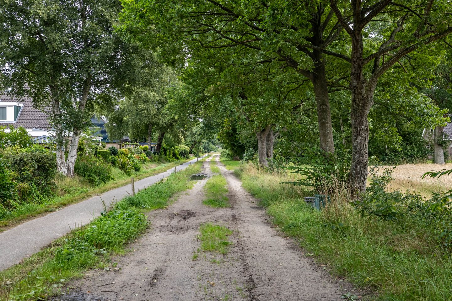 Photo 50 of Boerzand 11