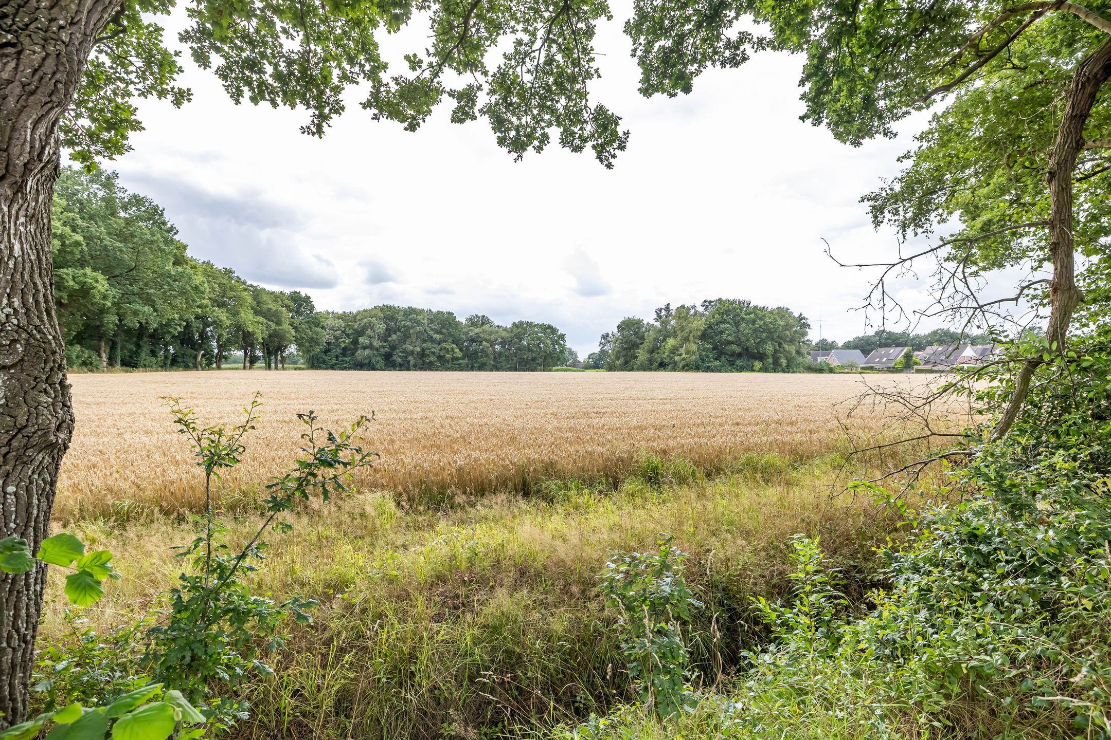 Photo 51 of Boerzand 11