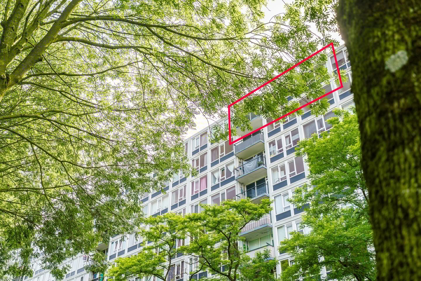 Foto 1 van Dommeringdreef 143