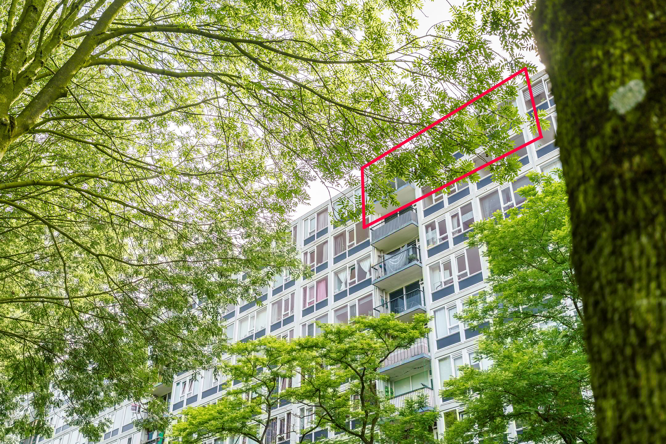 Dommeringdreef, 143, Utrecht, 3562AN, Utrecht, Nederland 143