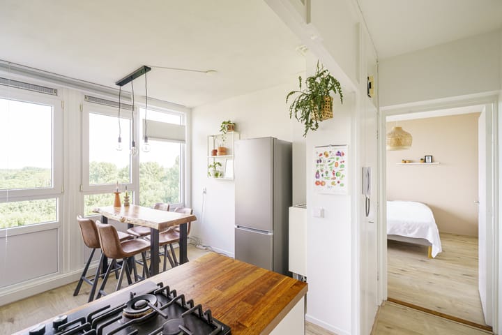 Foto 5 van Dommeringdreef 143