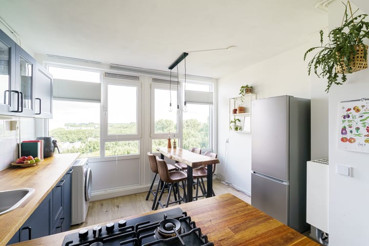 Foto 8 van Dommeringdreef 143