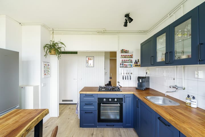 Foto 9 van Dommeringdreef 143