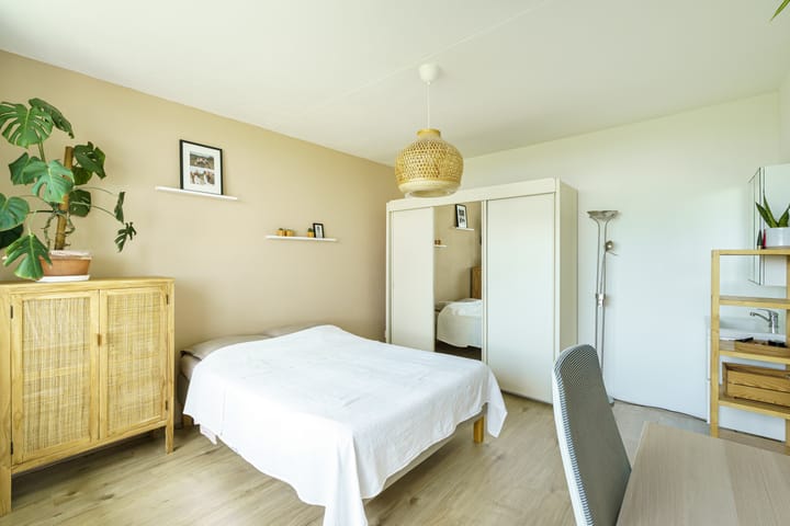 Foto 12 van Dommeringdreef 143