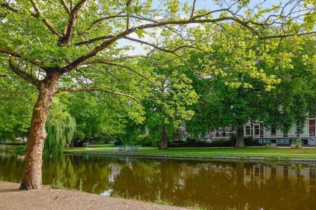 Foto 22 van Stadhouderskade 52-2