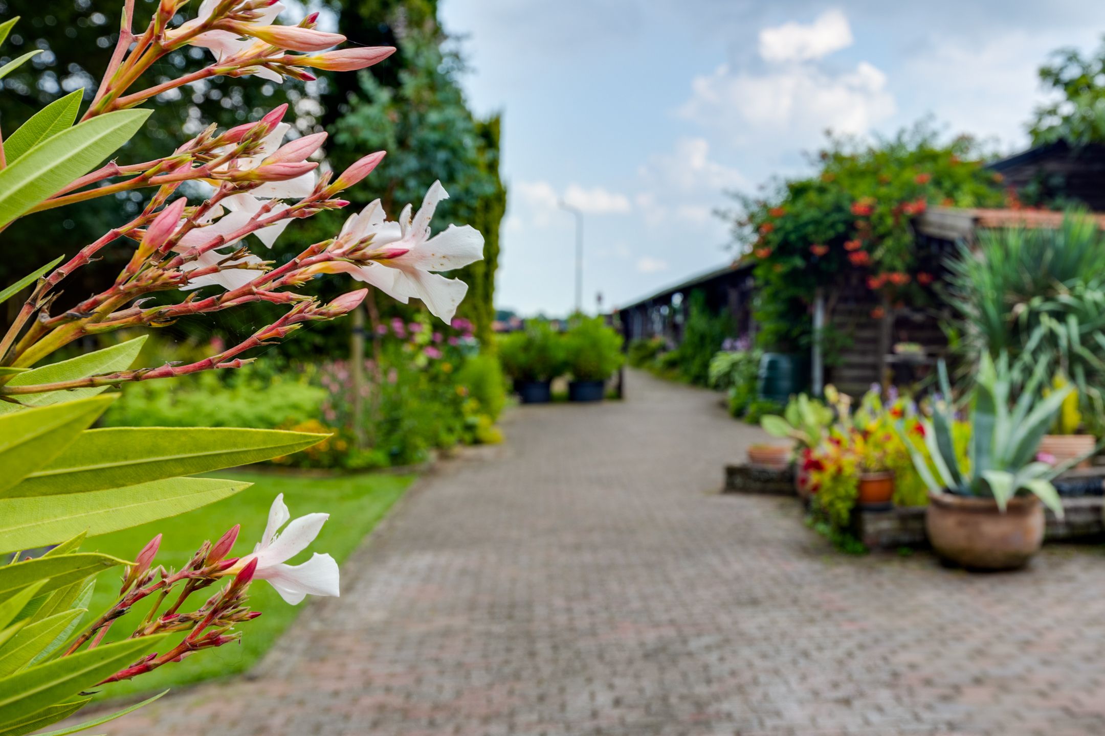 Foto 42 van Aagtemanweg 7