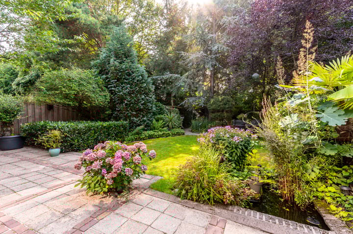 Foto 3 van Archipel 17 1