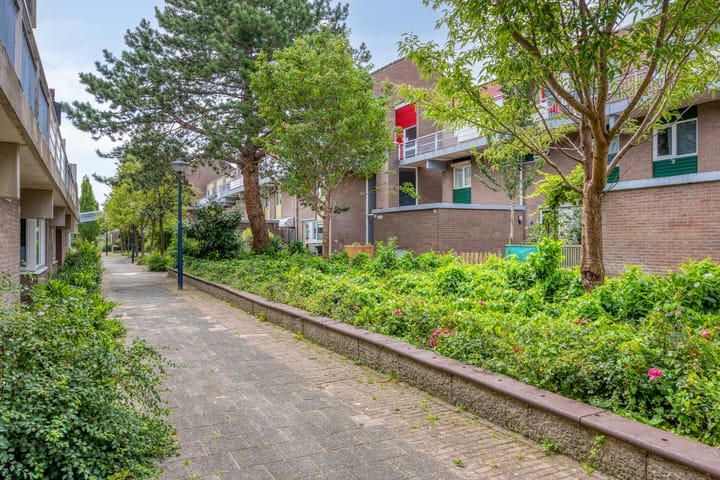 Foto 32 van Boogschutter 28