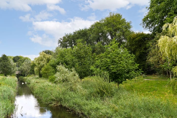 Foto 28 van Andreasplein 113