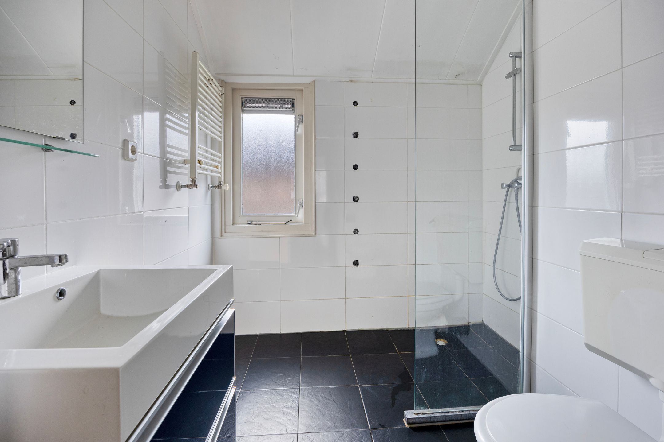 Foto 12 van Hoge Dries 263