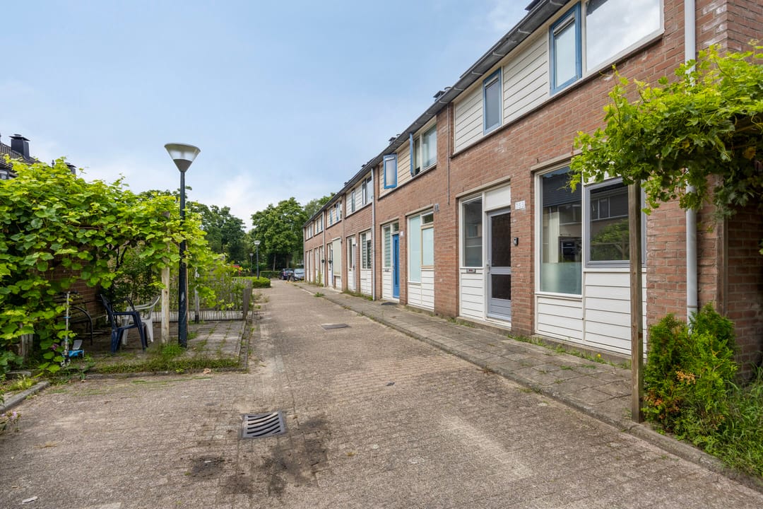 Foto 22 van Hoge Dries 263