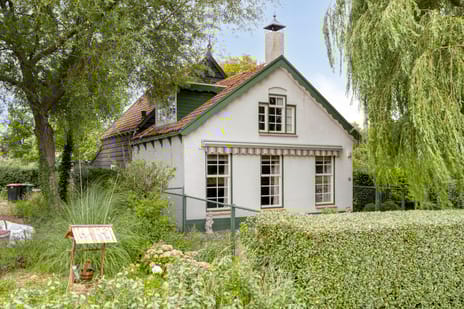 undefined main image