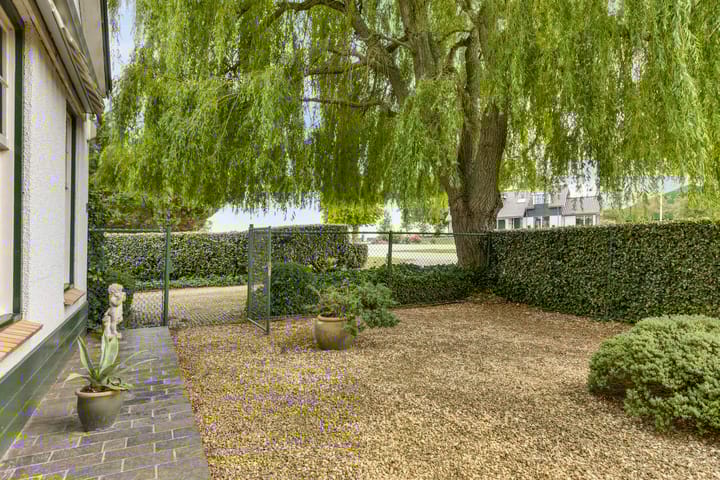 Foto 37 van Zuiddijk 10