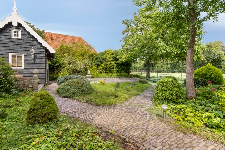 Foto 42 van Zuiddijk 10