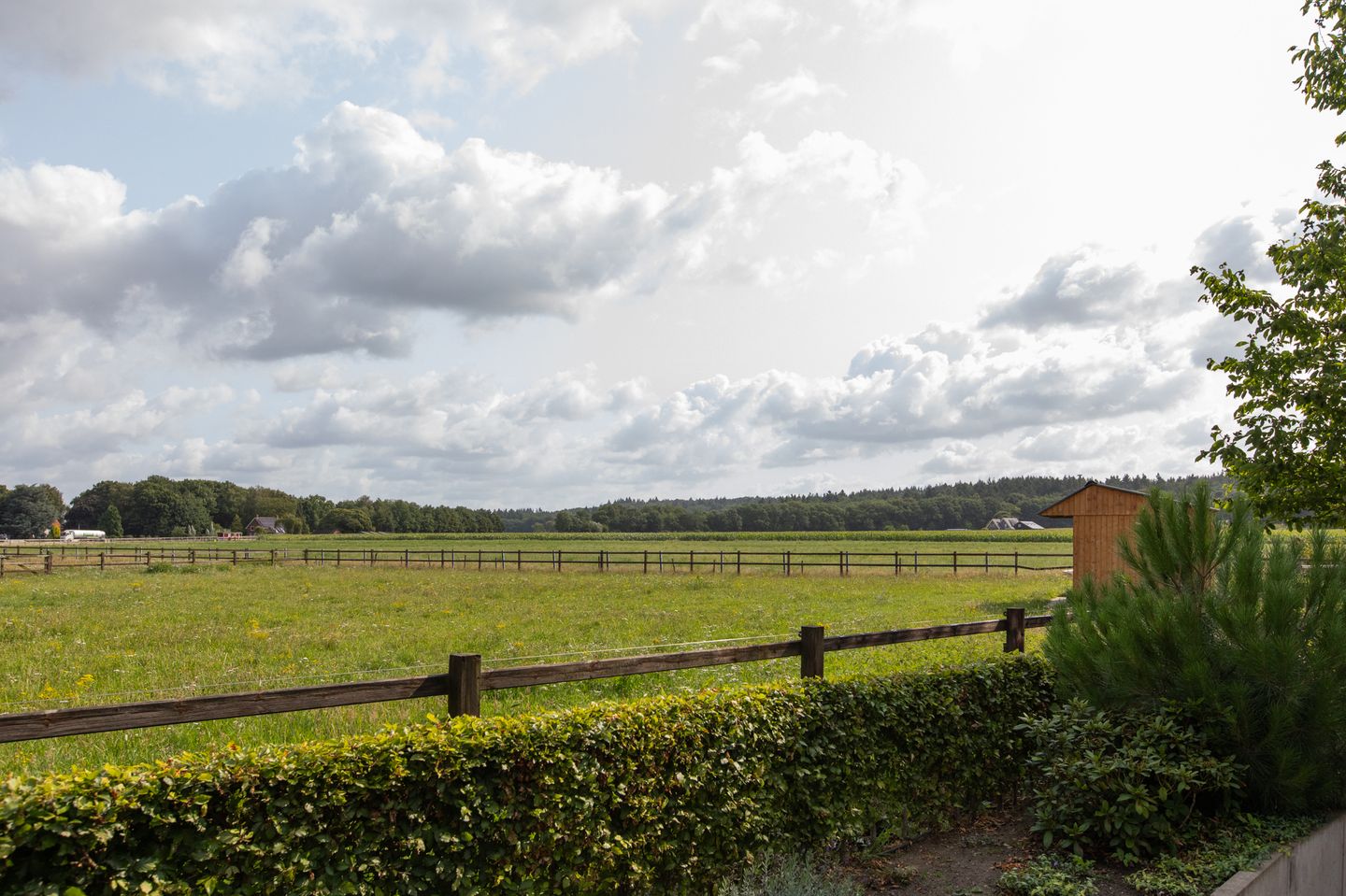 Foto 10 van Peeskesweg 1-5