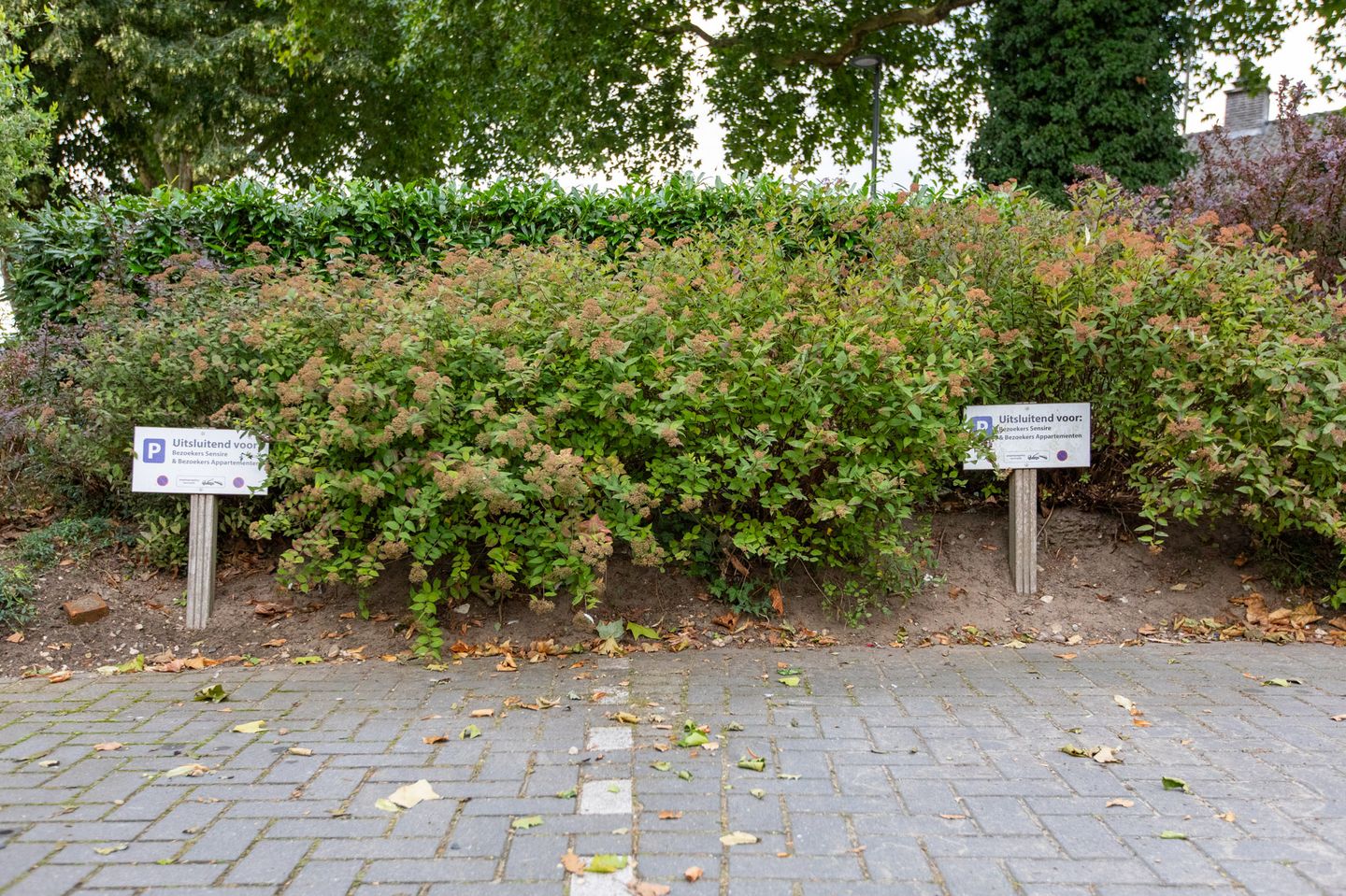 Foto 40 van Peeskesweg 1-5