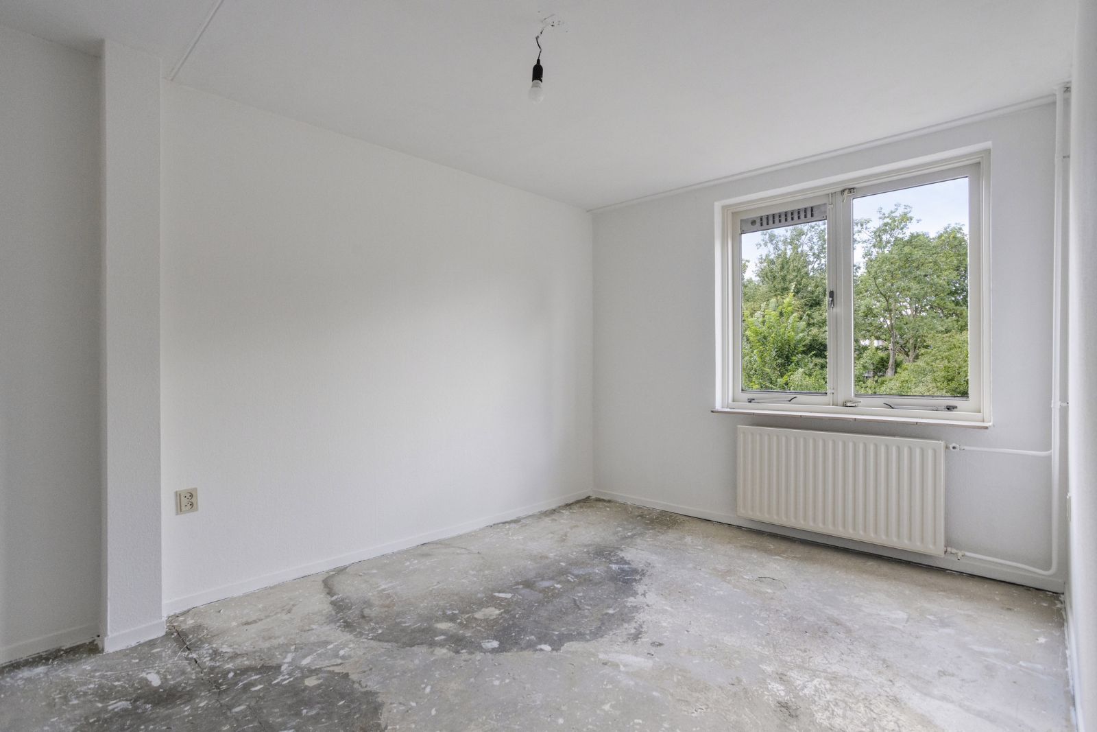 Photo 12 of Torenbes 5