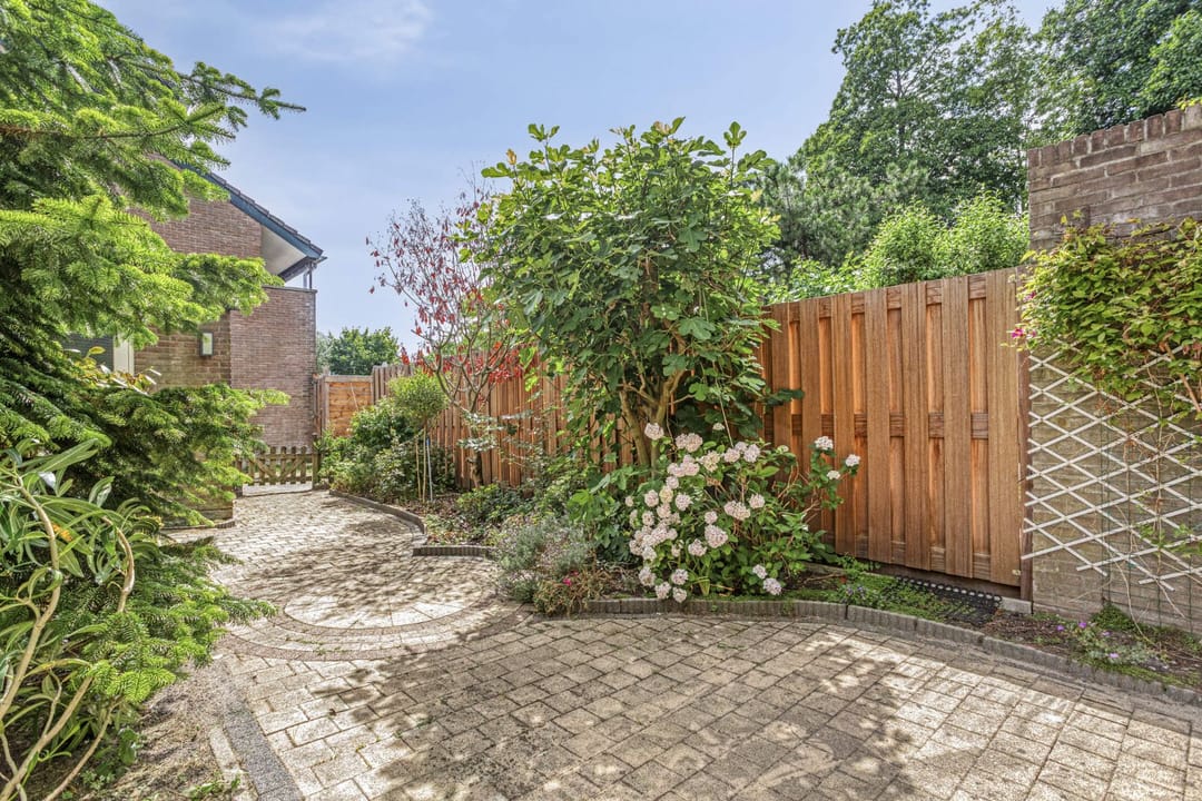 Photo 23 of Torenbes 5