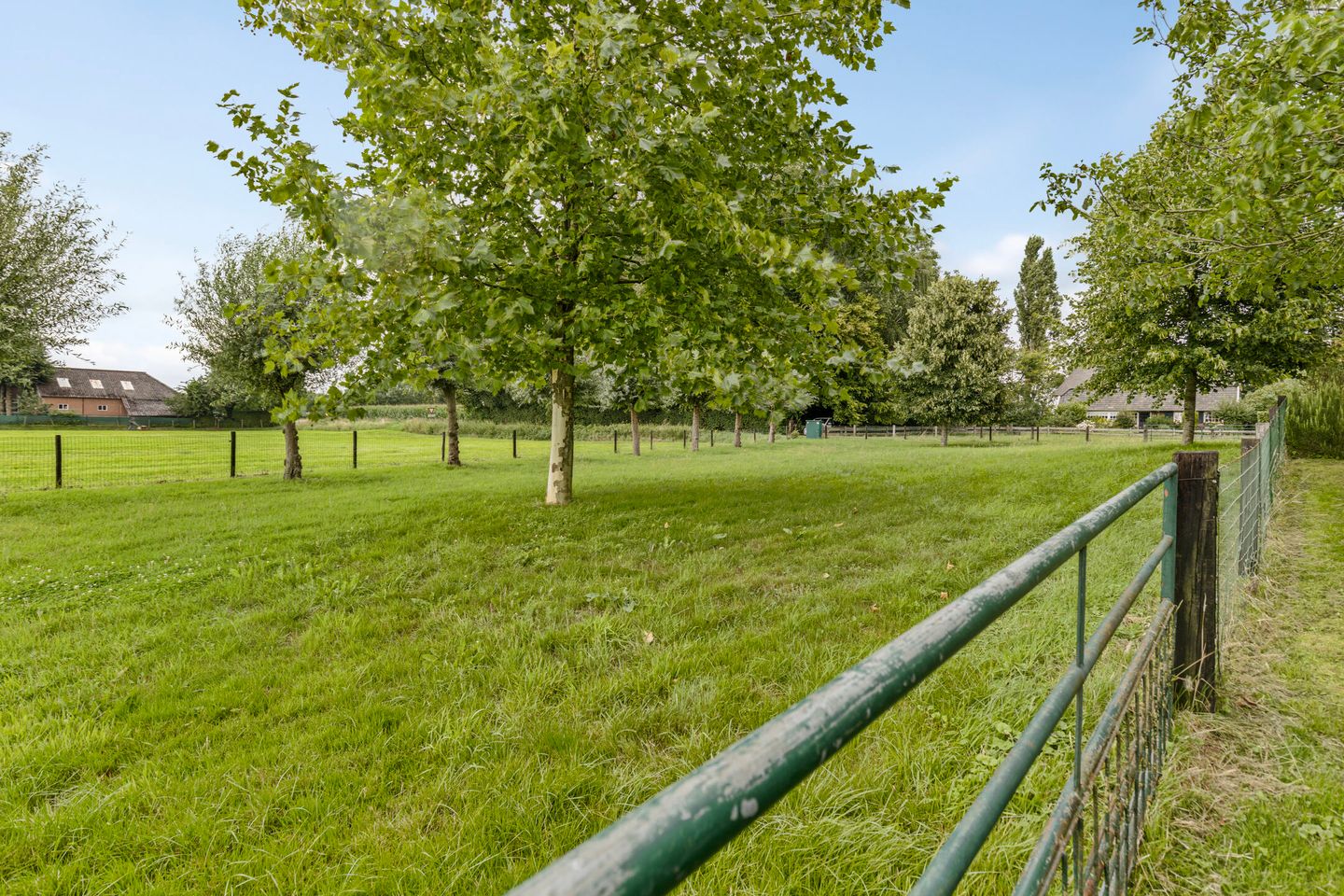 Foto 19 van Dollemansstraat 4