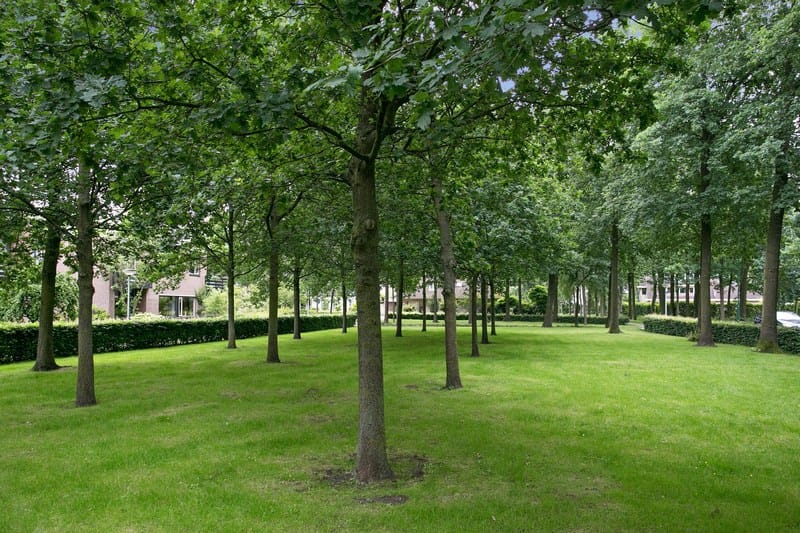 Foto 35 van Willemstraat 12